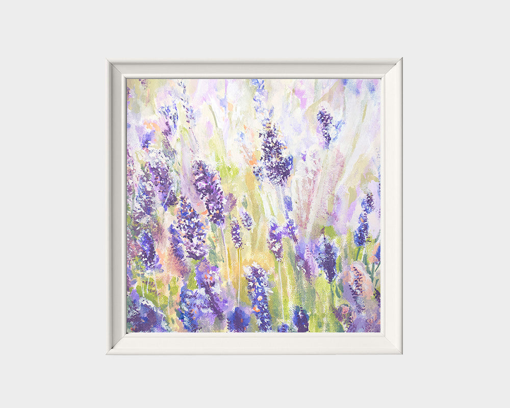 Lavenders