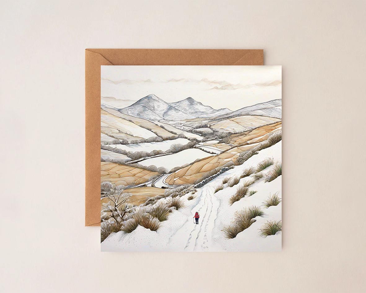 Winter Hill Walking