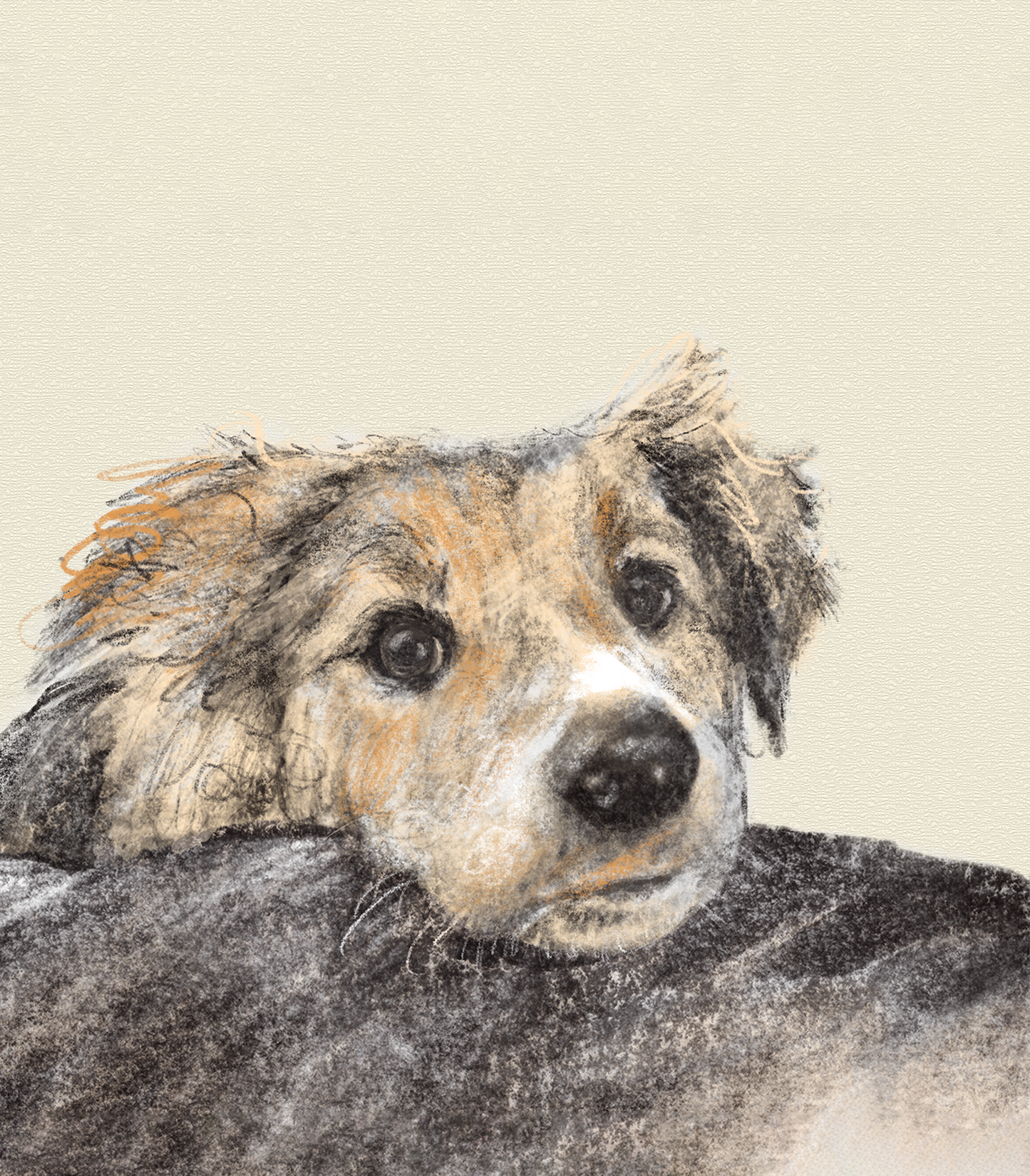 Hand-drawn unique pet portrait, for Pet Lovers