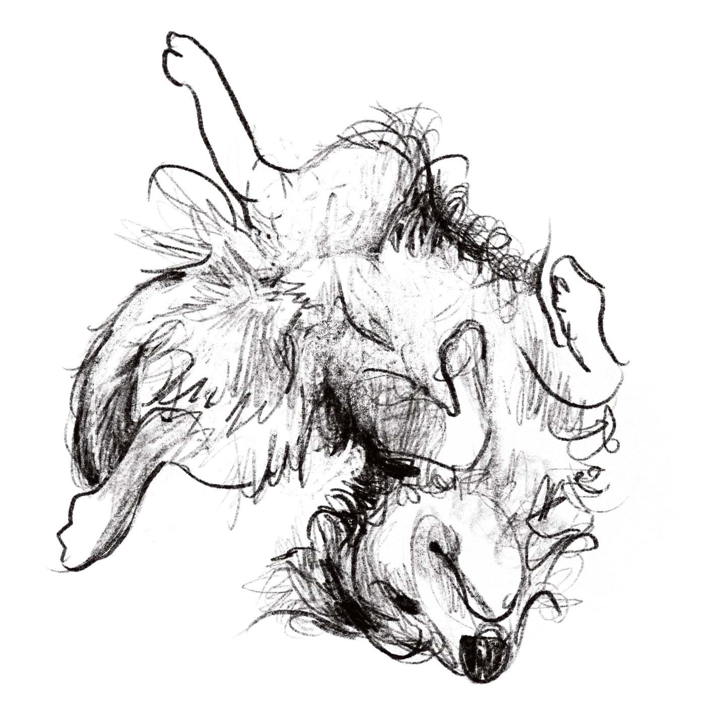 Hand-drawn unique pet portrait, for Pet Lovers
