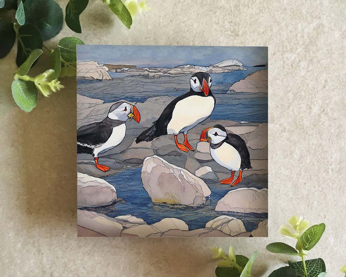 Puffins