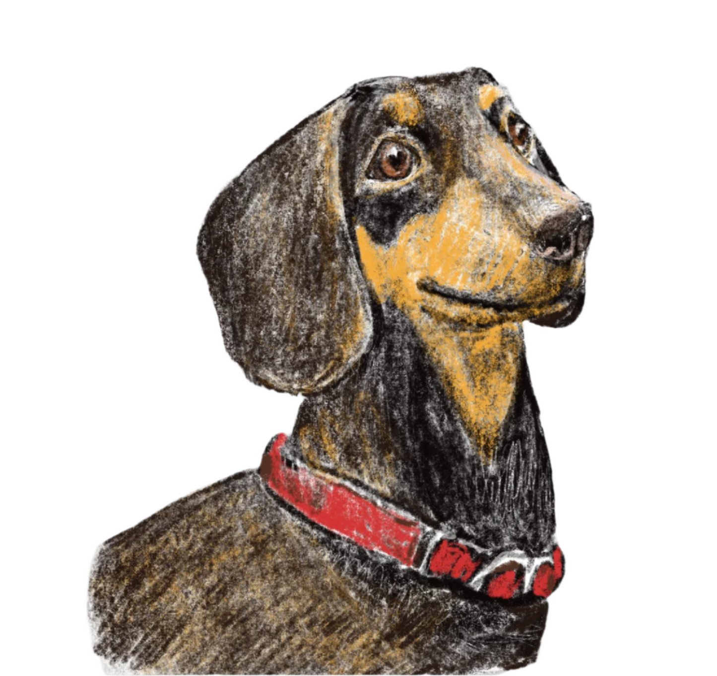 Hand-drawn unique pet portrait, for Pet Lovers