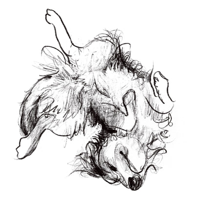 Hand-drawn unique pet portrait, for Pet Lovers