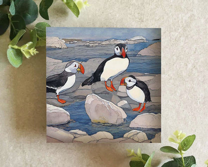 Puffins