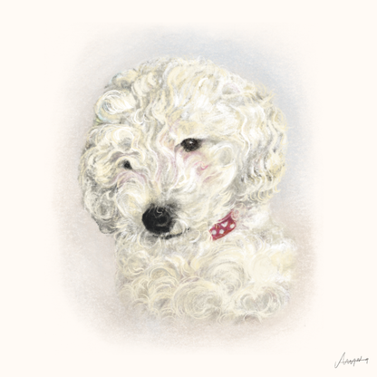 Hand-drawn unique pet portrait, for Pet Lovers