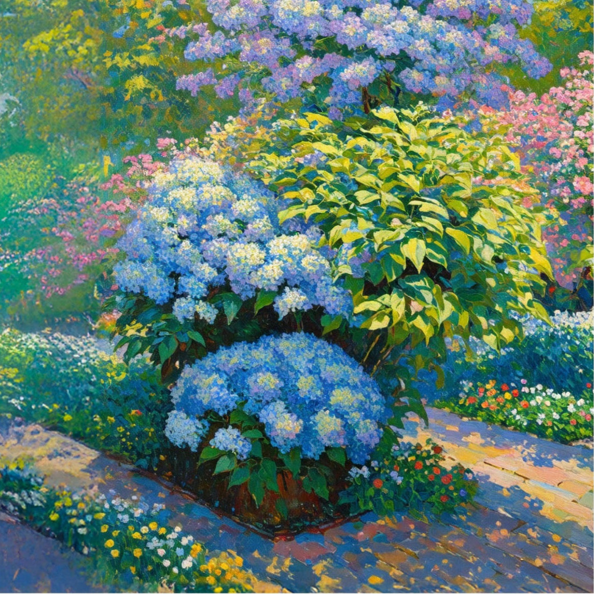 Hydrangea