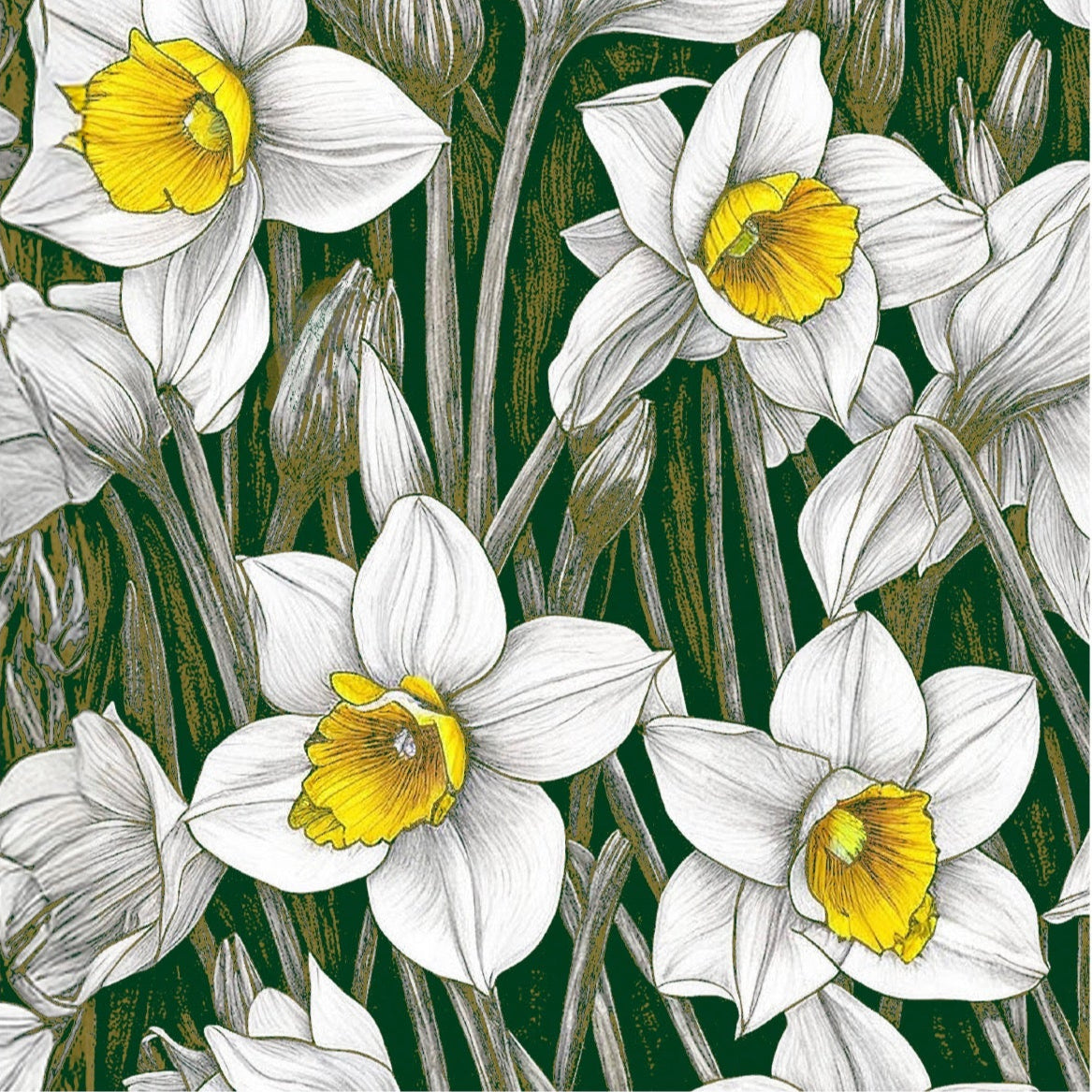 Daffodils